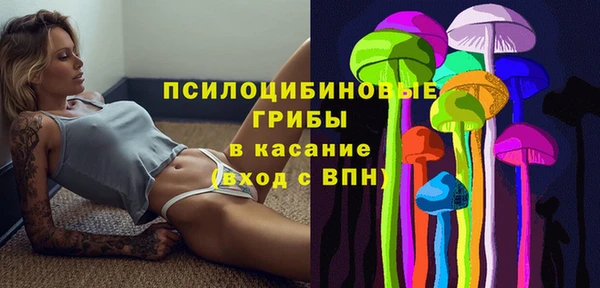 прущие грибы Пересвет