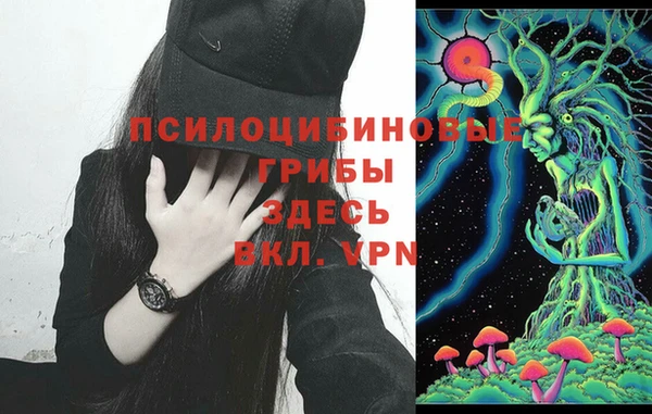 тгк Алексин